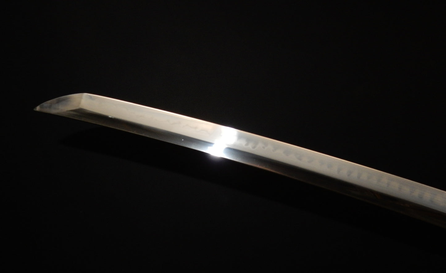 Chrysanthemum Katana