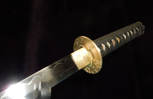 T10 Wakizashi